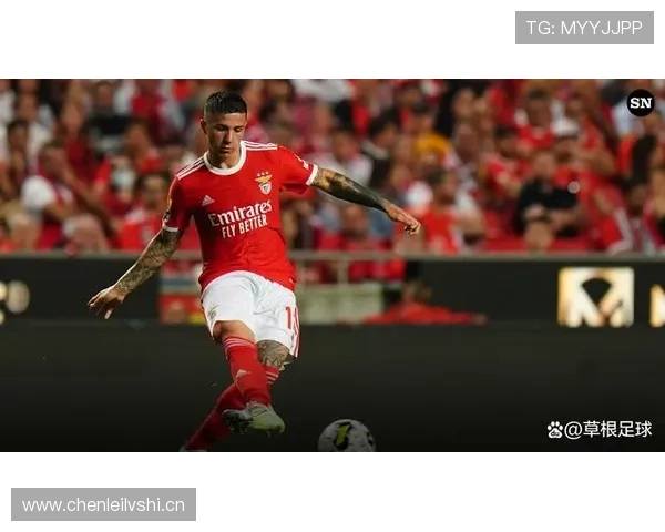 恩佐·费尔南德斯：世界杯冠军是否为其最高荣誉