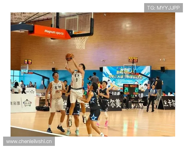 全面解读篮球比赛中球出界判定规则的执行标准与细节